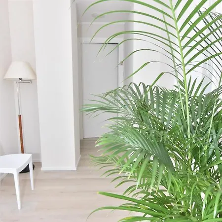 Πανσιόν Antiche Conce Σάσαρι